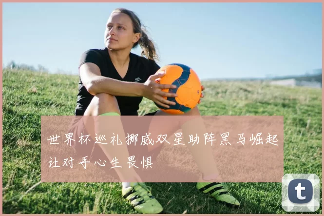 世界杯巡礼挪威双星助阵黑马崛起让对手心生畏惧